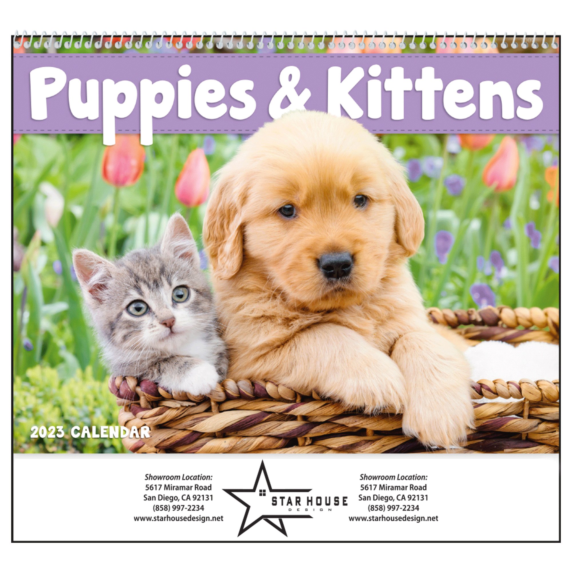 Pens And Paws Calendar 2023 Promotional Good Value™ Puppies & Kittens Calendar (Spiral) | National Pen