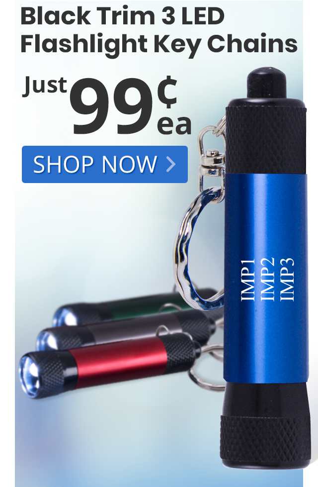 Black Trim 3 LED Flashlight Key Chains for only 99¢ each!