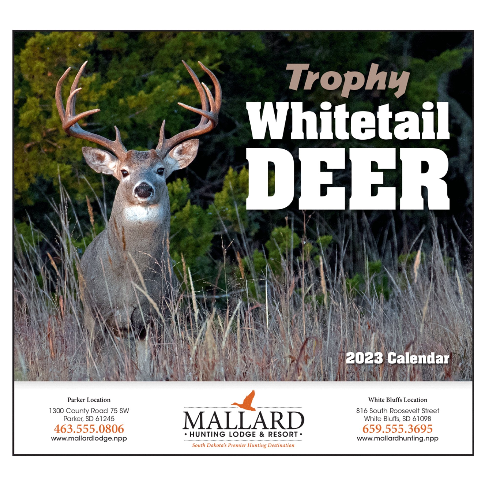 Deer Wildlife 2019 Calendar Photos by Bill Kinney National Pen