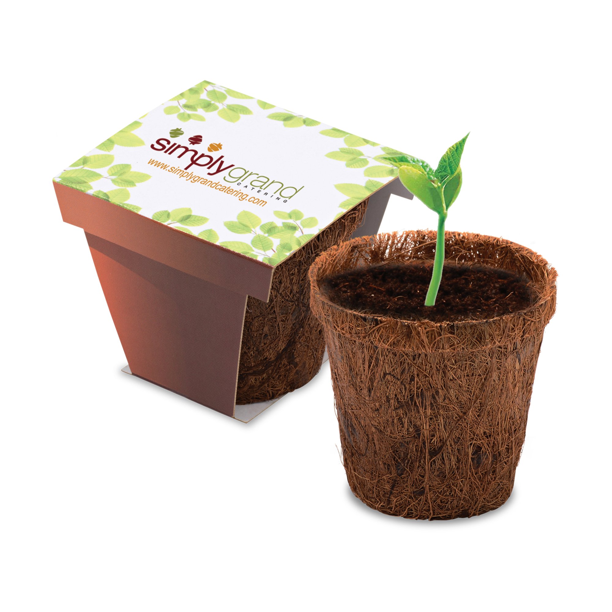 Promotional CoCo Planter Kit National Pen